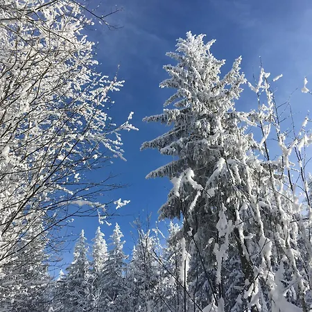 아파트 Lindenhof *