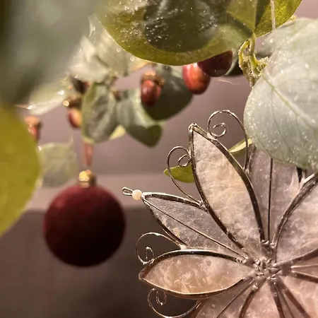 아파트 Lindenhof *