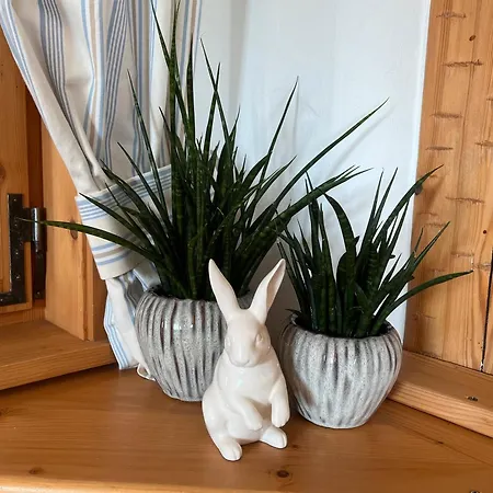 Apartment Lindenhof *