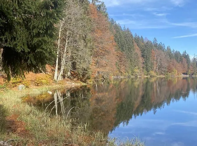 Lindenhof Appartement